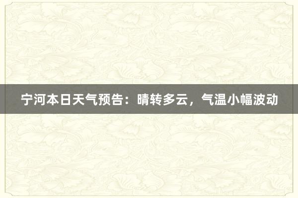 宁河本日天气预告：晴转多云，气温小幅波动